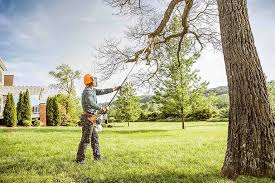 Starke, FL Tree Services Company